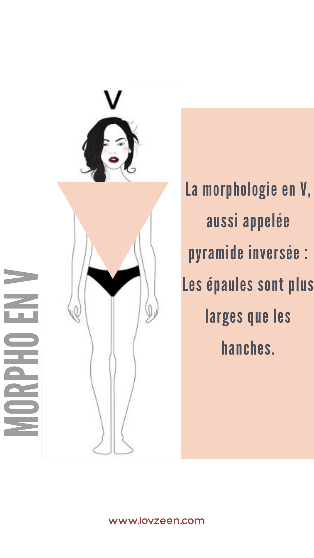 Morphologie en V