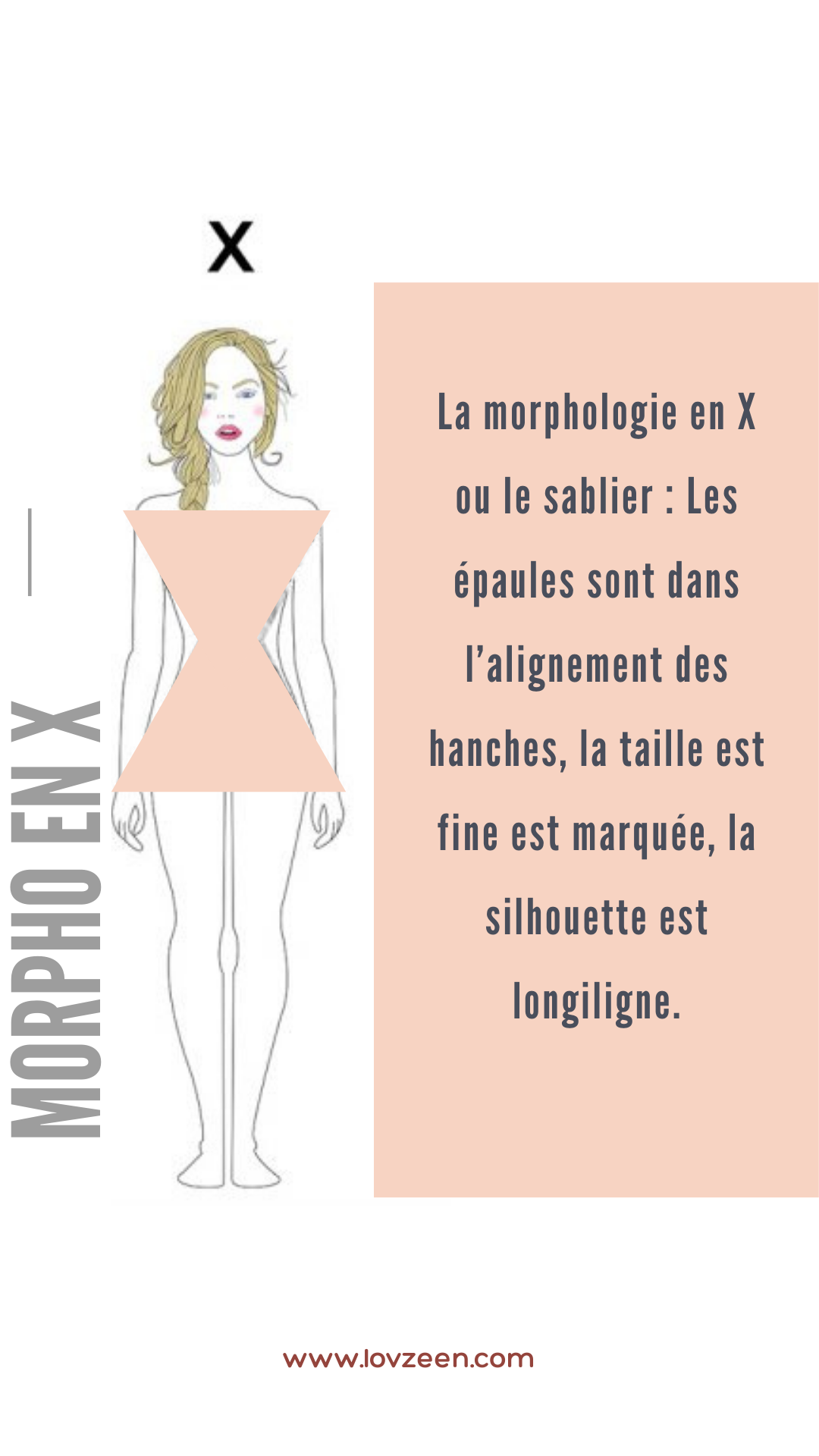 Morphologie en X