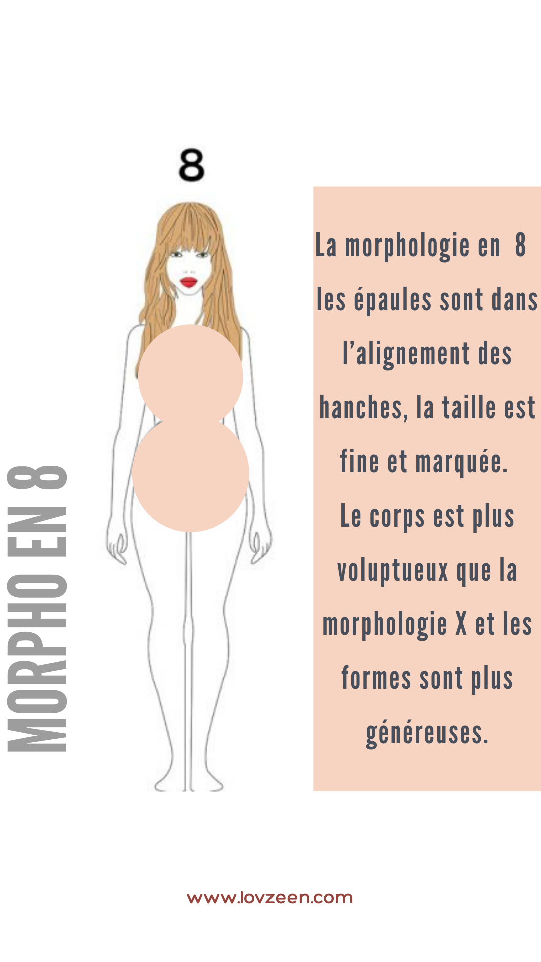 Morphologie en 8